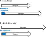 Sirolimus (Rapamycin) - Advanced Longevity Formula - Sirolimus (Rapamycin) - Advanced Longevity Formula